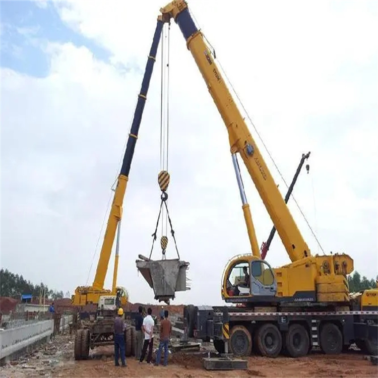 汝城小型吊机出租电话|厂房设备吊装方案|24小时服务覆盖